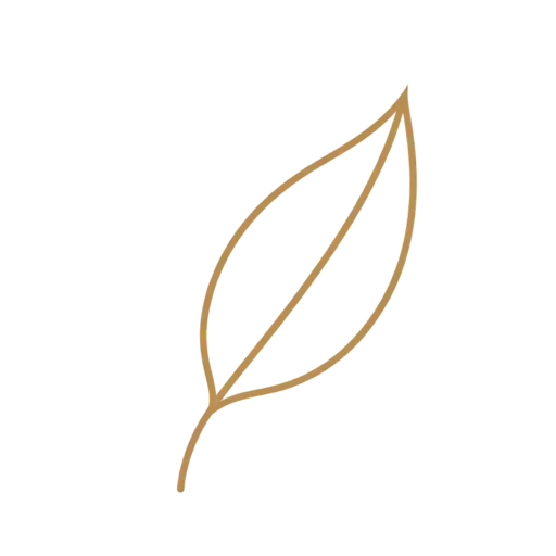 Kapha