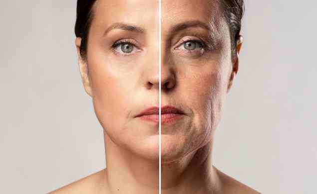 image_before_after_03 https://demo.madanglestudios.com/wp-content/uploads/2026/05/image_before_after_03.jpg