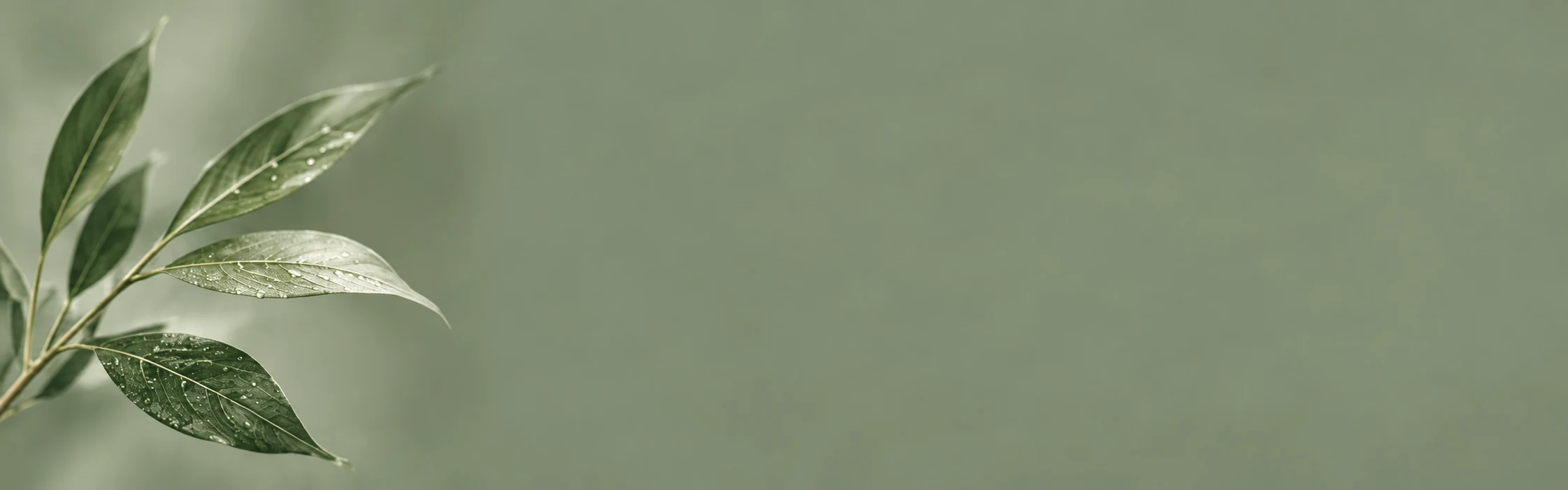 https://demo.madanglestudios.com/wp-content/uploads/2026/09/ahalia-panchakarma-section-background.webp