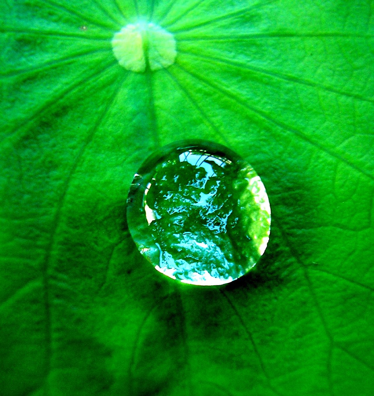 Ayurvedic oil treatment